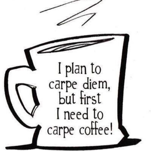 Meet your Posher, Shirley - Picture 1 of 1